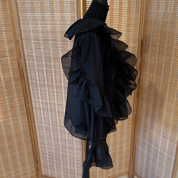 H&M Sheer Black Ruffled Blouse - Picture 7 of 9